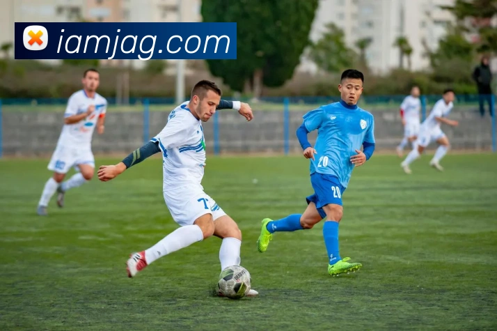 AI Risk Control